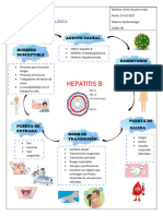 Cadena Epidemiologica Hepatitis B