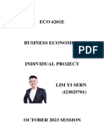 ECO 6201E Individual Project - Lim Yi Sern (I23025781)