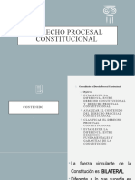 Derecho Procesal Constitucional)