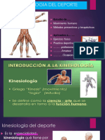 Introducion A La Kinesiologia