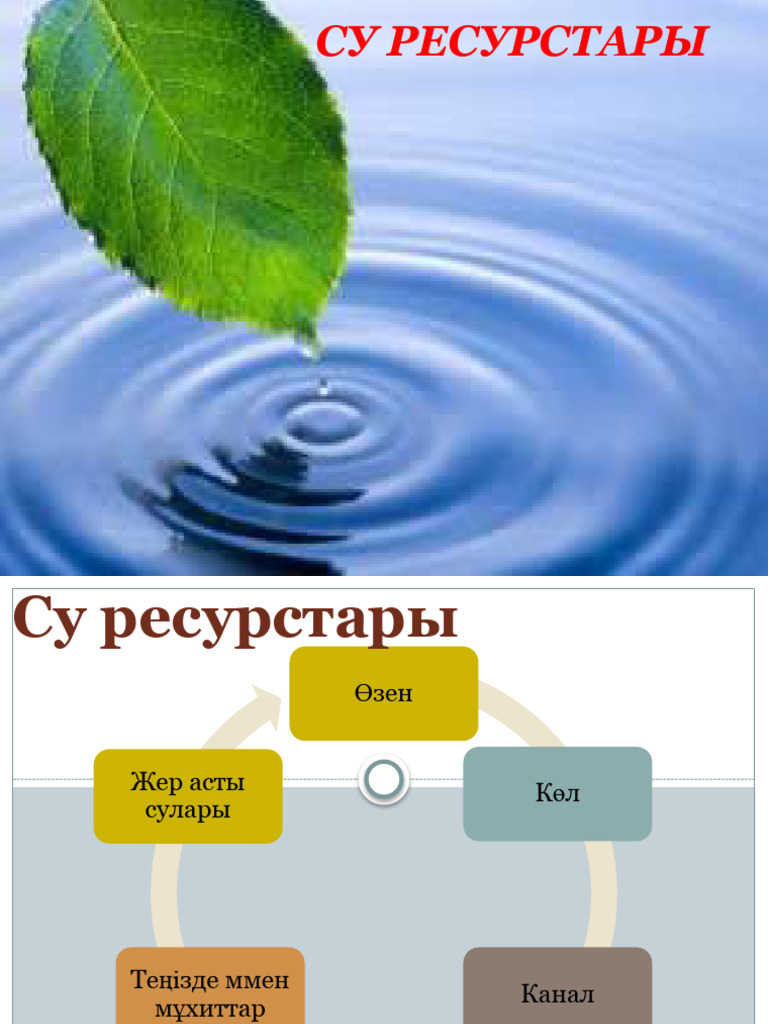 Әйелдер душта немесе моншада жыныстық қатынасқа түседі