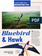 Bluebird_oz13899_article