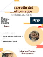 Desarrollo Del Adulto Mayor-Equipo 4