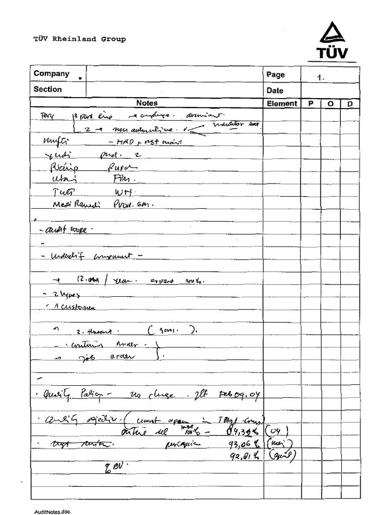Audit Notes | PDF