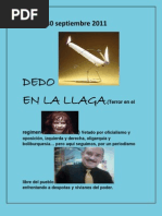 Gobierno anacefalico