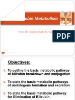 L6 - Bilirubin Metabolism