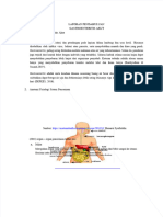 PDF LP Gea