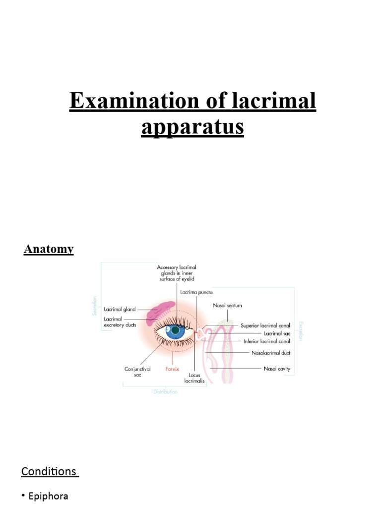 Lacrimal Apparatus Anatomy Quiz Yourself Become An Expert - och5nai