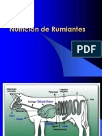 Nutricion de Rumiantes