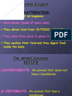 21 Animal Kingdom