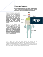 Elementos Del Cuerpo Humano