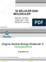 TM 5. DOGMA SENTRAL BIOLOGI MOLEKULER 2 - TRANSKRIPSI (Update)