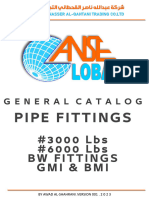 Anse Co. 2023 Catalog Pipe Fittings