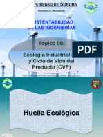 00topico08 - Ecologia Industrial y CVP - Act