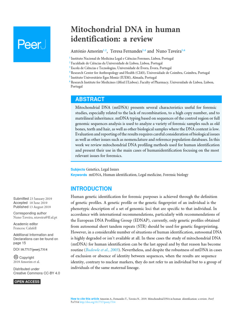 Mtdna in Hid | PDF | Mitochondrial Dna | Dna Sequencing