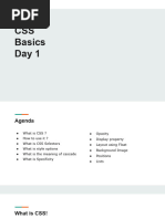 CSS Basics Day 1