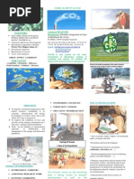 Forest For The Future Pdf Indonesia Forestry
