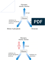 Bioreaksi KH HD