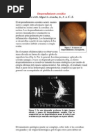 Download Desprendimiento coroideo by Eileen Palmero Aragn SN68824743 doc pdf