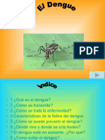 7 Cnatudengue 4