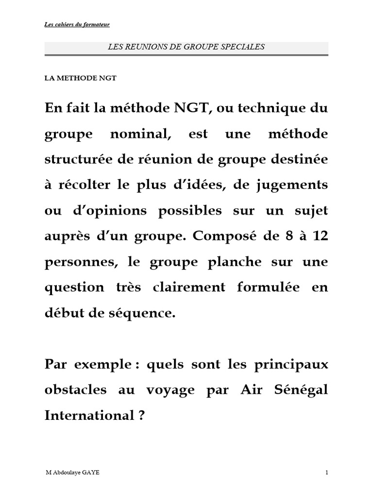 Méthode NGT pour réunions efficaces | PDF | Évolution de carrière