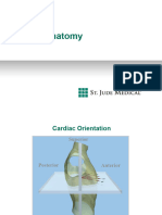 Cardiac Anatomy
