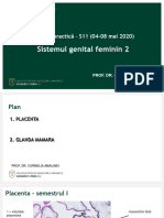 Sistemul Genital Feminin 2: Lucrare Practică - S11 (04-08 Mai 2020)