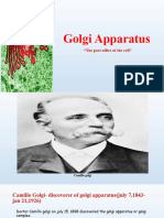 Golgi Appratus