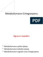 Metabolizmanın Entegrasyonu 2022