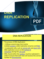 DNA Replication With Video Links