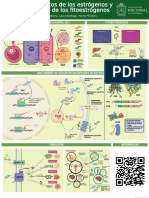 Trabajo Final Bioquímica