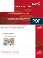 Session 15, HLTDEN009, Panoramic Anatomy Lecture, Student Version