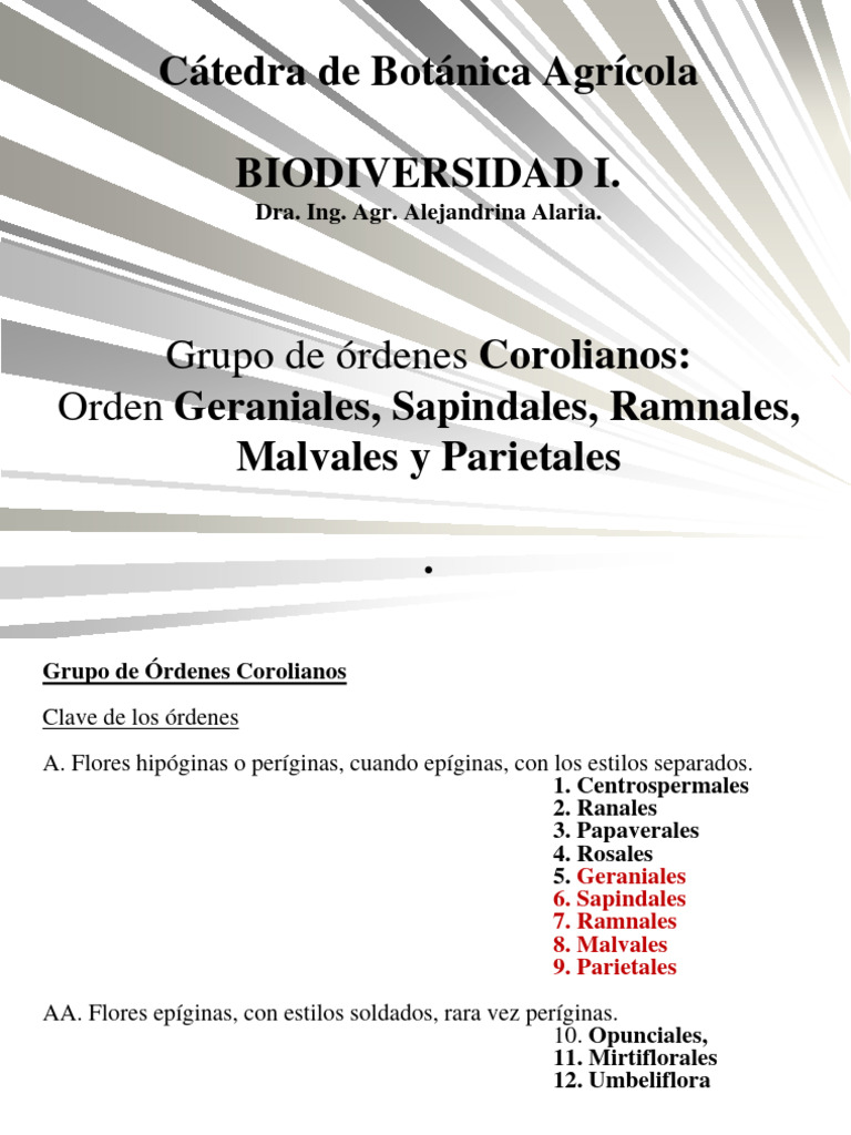 Corolianos Geraniales | PDF | Plantas | Botánica