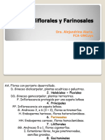 Monocotiledóneas Orden Farinosales y Liliflorales