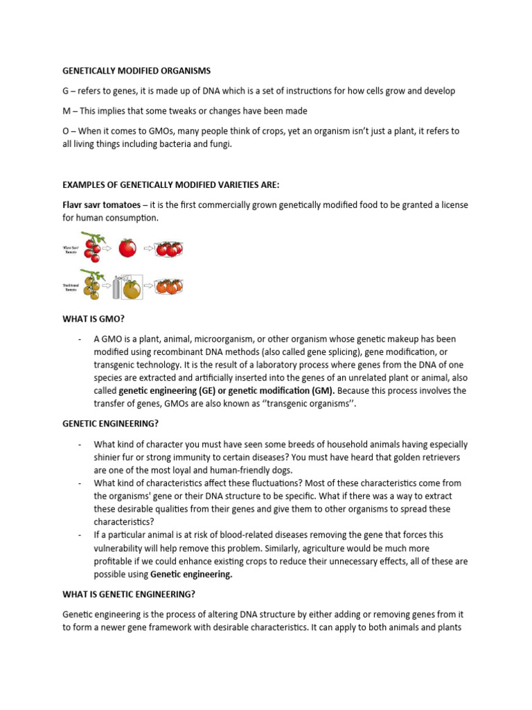 Genetically Modified Organisms | PDF | Genetic Engineering ...