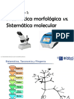 1-Act-Sistematica Molecular Vs Morfologica