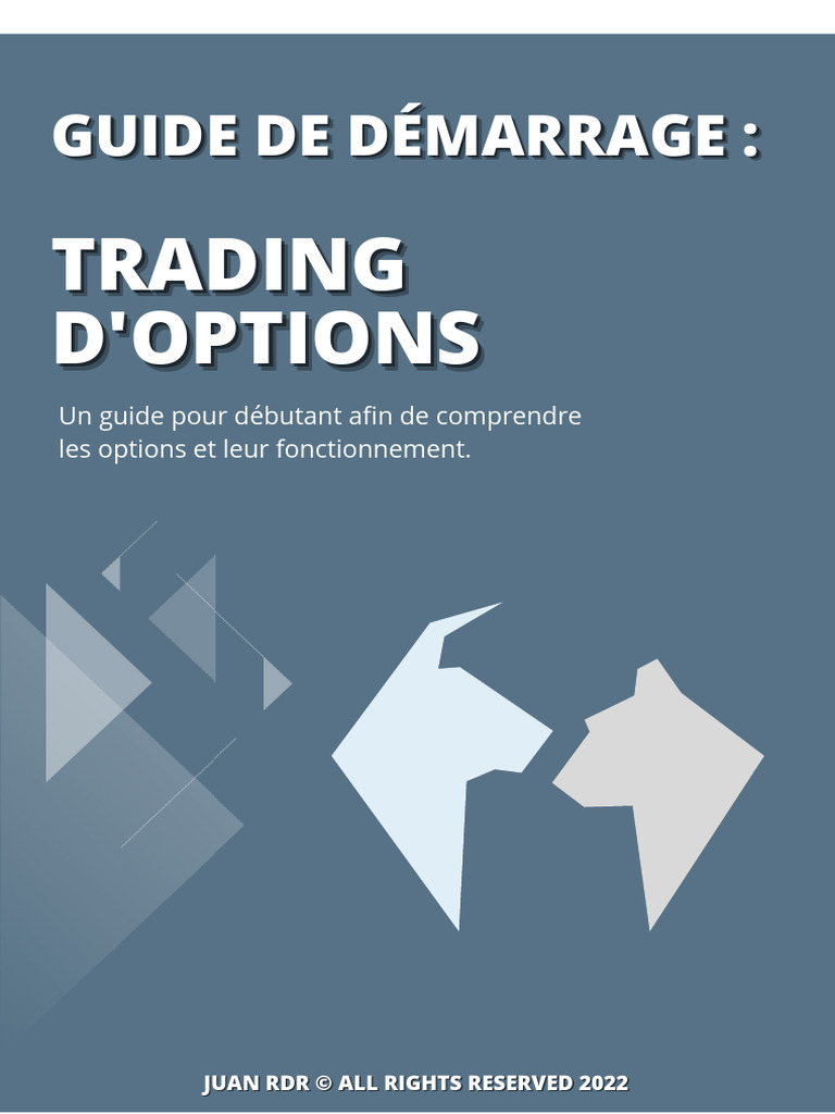 Guide du Trading d'Options pour Débutants | PDF | Option (Finance) | Put