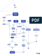 3346-Mapa - Respiração Celular