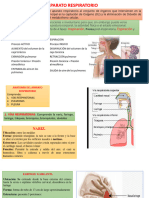 Aparato Respiratorio