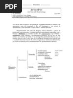 30_Metazoarios
