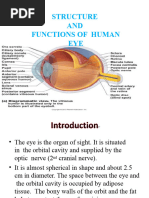 Human Eye