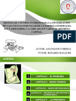 Sistema de Control Interno para La Optimización de Las Cuentas Por Pagar