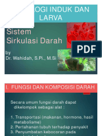 Sirkulasi Darah-2