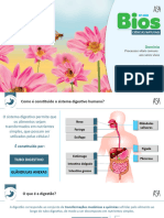 Sistemas Digestivos