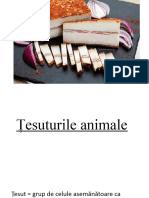 5. Țesuturi animale (1)