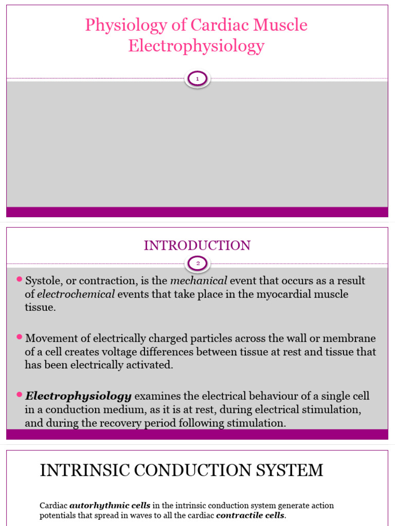 Cardiac Action Potential Overview | PDF | Action Potential | Depolarization