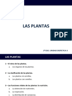 U.D.3.Las Plantas