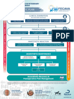 RCVS Exam Guidance | PDF | International English Language Testing ...