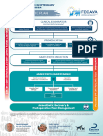 FECAVA 1 The Anesthetic Plan 1