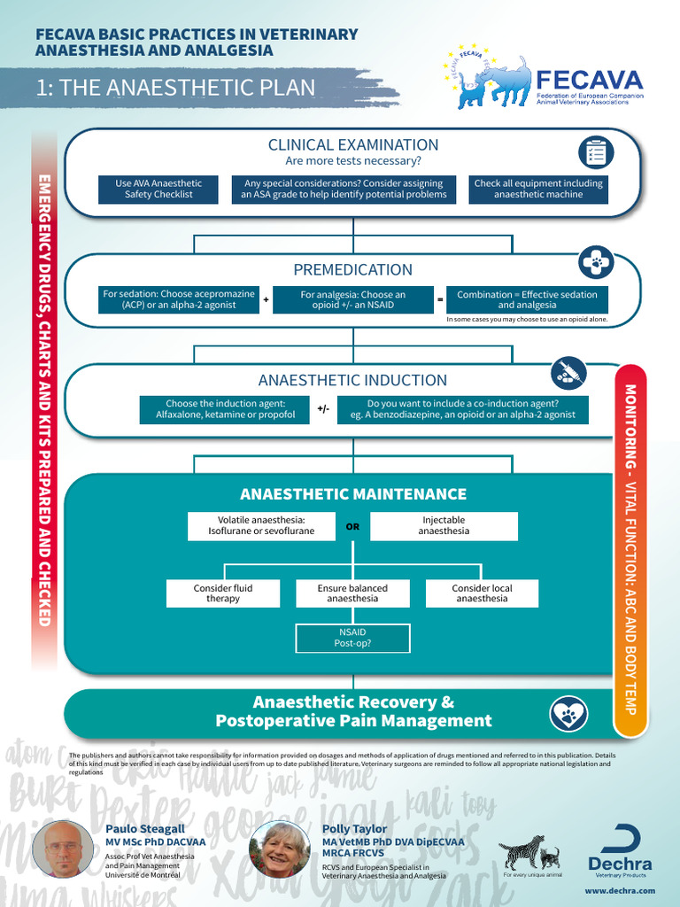 FECAVA 1 The Anesthetic Plan 1 PDF Anesthesia Analgesic